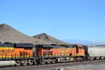 BNSF 4317